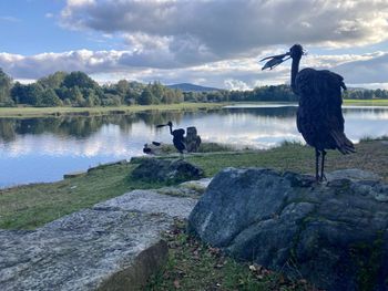View of bird standing on rock by lake against sky