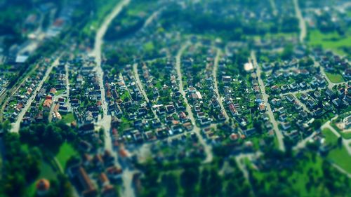 Close-up view of green landscape
