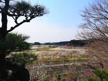 Scenic view of field against clear sky