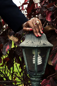 Cropped hand of woman over electric lamp by plants