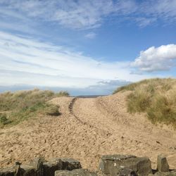 Scenic view of beach against sky