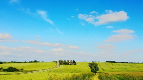 Scenic view of field against sky