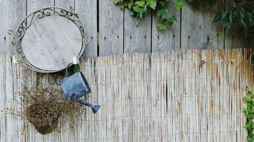 Watering can with potted plant and leaf on wood