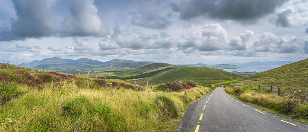 Road leading trough valley with green fields and farms, dingle peninsula, wild atlantic way, ireland