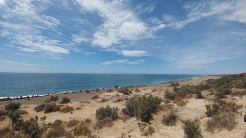 Scenic view of beach against sky