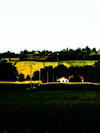 Scenic view of field against clear sky