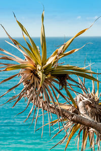 Close-up of blue sea against sky