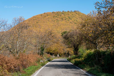 Road amidst trees against clear sky during autumn