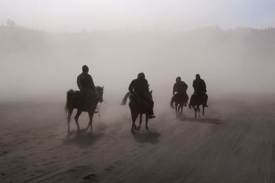 Rear view of people riding horse on landscape