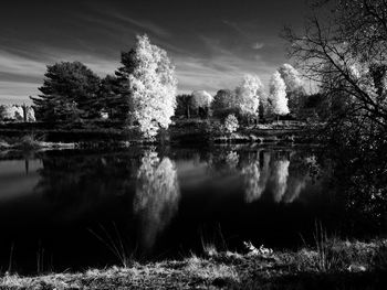 Reflection of trees in lake against sky