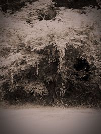 View of road along trees
