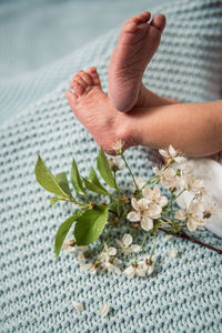 High angle view of newborn baby foot and flowering plant
