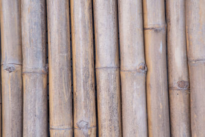 Full frame shot of bamboo on wooden fence