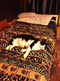 Cat sleeping on bed