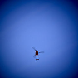 Horse against clear blue sky