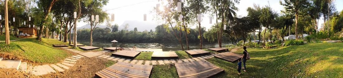 Panoramic shot of trees against sky