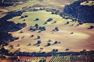 Aerial view of agricultural landscape