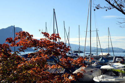 Sailboats moored in sea against sky