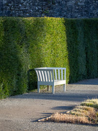 Empty bench in park