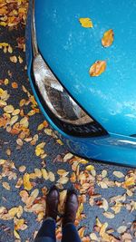 Low section of person standing on autumn leaves