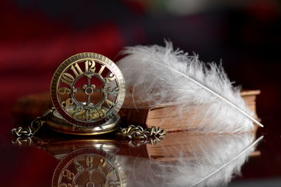 Close-up of pocket and feather by book on table