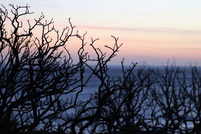 Silhouette bare tree against sky during sunset