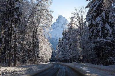 Road amidst trees and snowcapped mountains during winter