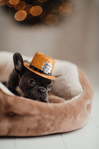 Close-up of hat