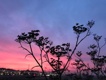 Silhouette tree against sky at sunset