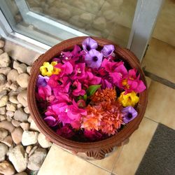 Close-up high angle view of flowers