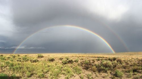 Scenic view of rainbow over field