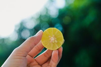 Close-up of hand holding fruit