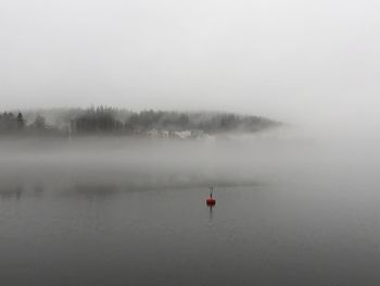 Foggy lake 