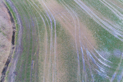 High angle view of agricultural field