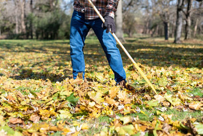 Low section of man raking at yard