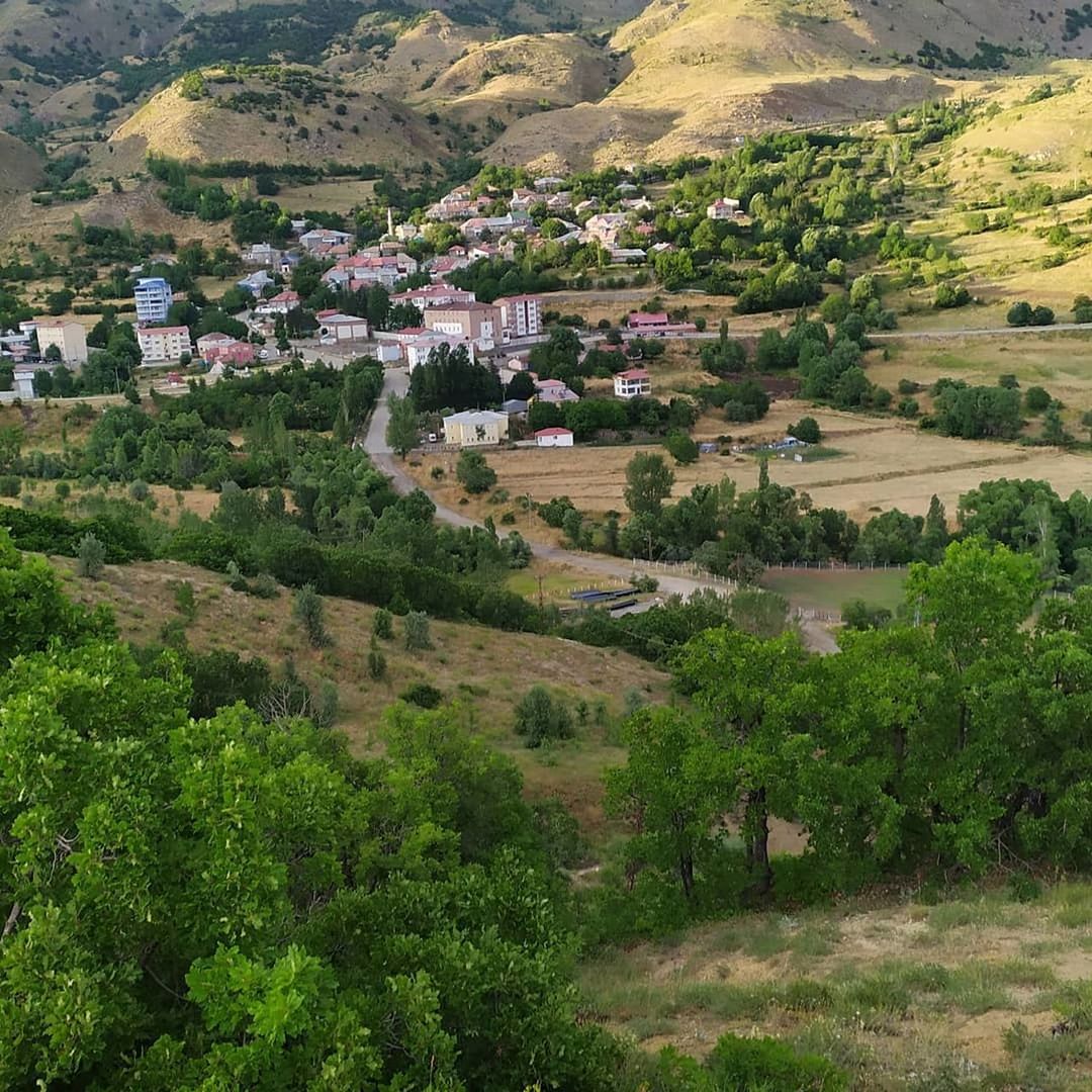 plant, village, landscape, environment, architecture, building, valley, tree, land, hill, building exterior, scenics - nature, aerial photography, built structure, house, nature, rural area, residential district, town, high angle view, beauty in nature, green, growth, rural scene, mountain range, field, agriculture, no people, city, outdoors, plateau, day, tranquility, tranquil scene, travel, travel destinations