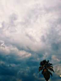 Low angle view of palm tree against cloudy sky