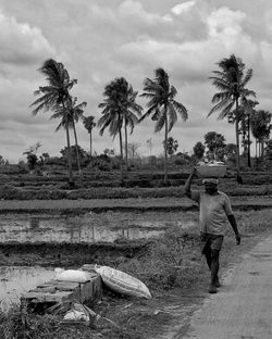 Rear view of man standing on palm trees on field against sky