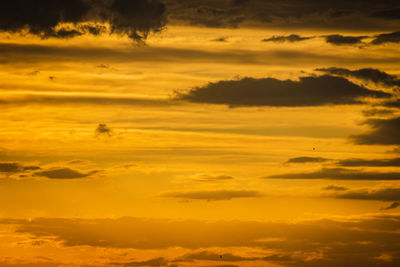 Low angle view of dramatic sky during sunset