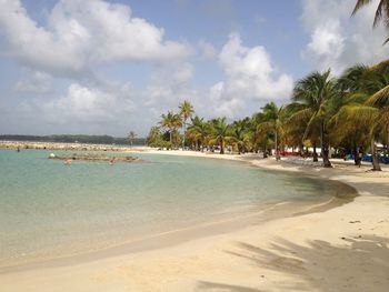 Scenic view of beach against sky