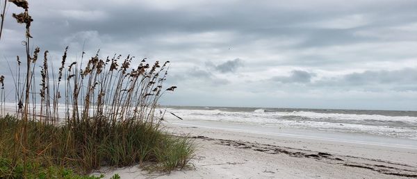 Scenic view of beach against sky