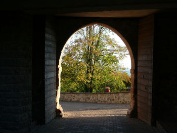 Trees seen through arch window of building