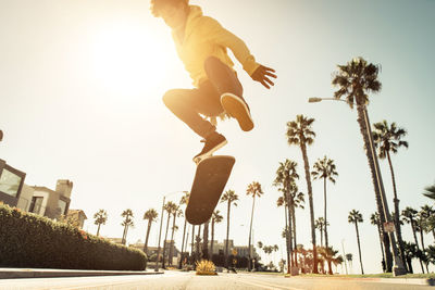 Low angle view of man jumping on palm trees against sky