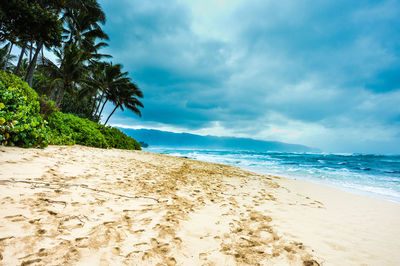 Surface level of calm beach