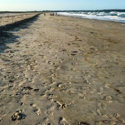 Scenic view of beach