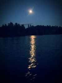 Reflection of trees in calm water