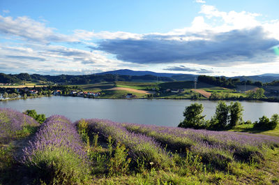 Scenic view of field by lake against sky