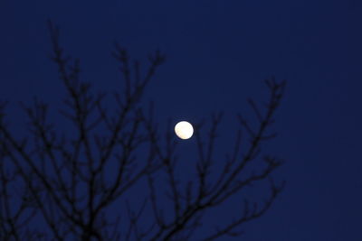 Low angle view of moon against sky at night