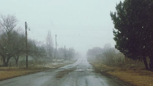 Road passing through forest