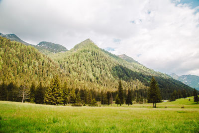 Natural landscape with green mountain peaks in summer